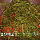 순김치