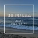 내돈내산 강릉여행 1박2일 코스 (맛집, 숙소 포함)