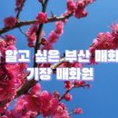 매화작은도서관 이미지