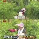 순애가 주방