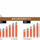 '지자체 5급'이던 변호사 몸값 '이젠 6~7급' 이미지