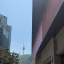 클래식 - 광산구 산월로 3 | 까르띠에 러브팔찌 클래식 구매 후기｜명동 신세계백화점 오픈런 꿀팁