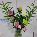 황정(오죽)=＞심고 차로 마셔 보세요 이미지