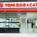 분당 요미독앤캣 강아지분양 고양이분양 이미지