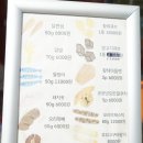 퍼키드 이미지