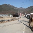 새남식당 이미지