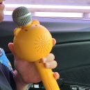 설악산과동해바다그리고온천 이미지