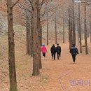 황토메타길 이미지