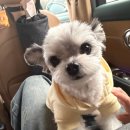 대승농장 | 입사 후 두번째 명절을 보내다.