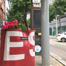 플라워맨카페(flower man cafe) 이미지