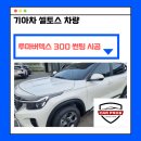 카프로스 이미지