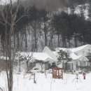 꽃별하얀 이미지