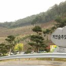 장성군 산림조합
