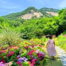 카페12(PM) 이미지