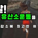 시스템 짐 이미지