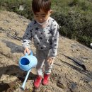 기현농장 이미지