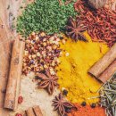 마이오리진 이미지