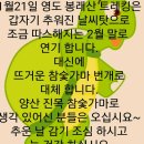 긴급공지 이미지