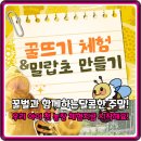 (주)행복한농장(청하농장) | 주말 체험 고민 끝! 여주 꿀벌 농장체험, 아이 눈높이 교육까지 완벽!