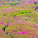 우천목장 이미지