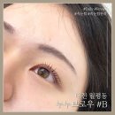 누누브로우 네이버블로그