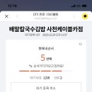 지영건어물야채 | 경남 남해 캠핑장 : 버드하우스캠핑장 명당자리 후박 3번 사이트 소개 및 크리스마스 캠핑 후기