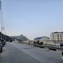 울릉도상회 티스토리