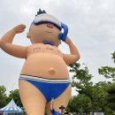 도안북로 | 20250713 대전 싸이흠뻑쇼2025 후기 일기