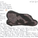 풀향기 이미지