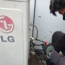 이디살래 이미지