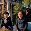 춘옥이네 이미지