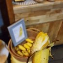 [호치민] 오페라하우스 / 벱메인 / 유주스파