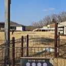 강아지테마파크 이미지