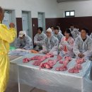 전북특별자치도 축산연구소 이미지