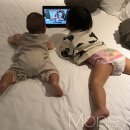 스마트폰 처음부터 배우기 이미지