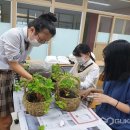 괴산북중학교 이미지