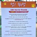 멍뛰멍 이미지