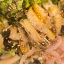 근영식당 | 제58회 대통령배 전국 중고배구대회 남자부 8강, 여자부 6강 경기 결과