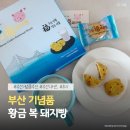 황금복주 | 부산 기념품 추천 에어프라이기에 데워먹으면 더 맛있는 부산 황금돼지빵 후기
