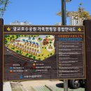 광교호수공원 가족캠핑장 수원화성신문