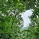 주말가족극장<복 실러가요 놀량 2017> | [아이와 주말 나들이] 국립극장 주차하고 남산타워 등반! 성곽길 따라 걷는 초보 등산 코스 후기
