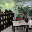 김세종한의원 이미지