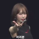 봄웜라이트톤, 봄페일톤 퍼스널컬러 진단 받아본 후기, 서브톤의 중요성