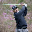 버디클럽 스크린 골프 이미지