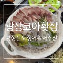 맛도 신선함도 굿굿 광장코아횟집 광장산오징어활어수산 후기