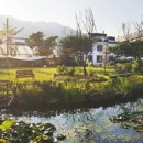 더카페블룸