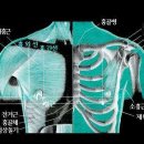 태음 이미지
