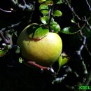 열린자리 이미지