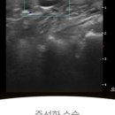 으뜸원동물병원 이미지