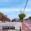 교대부설초등학교건너 이미지